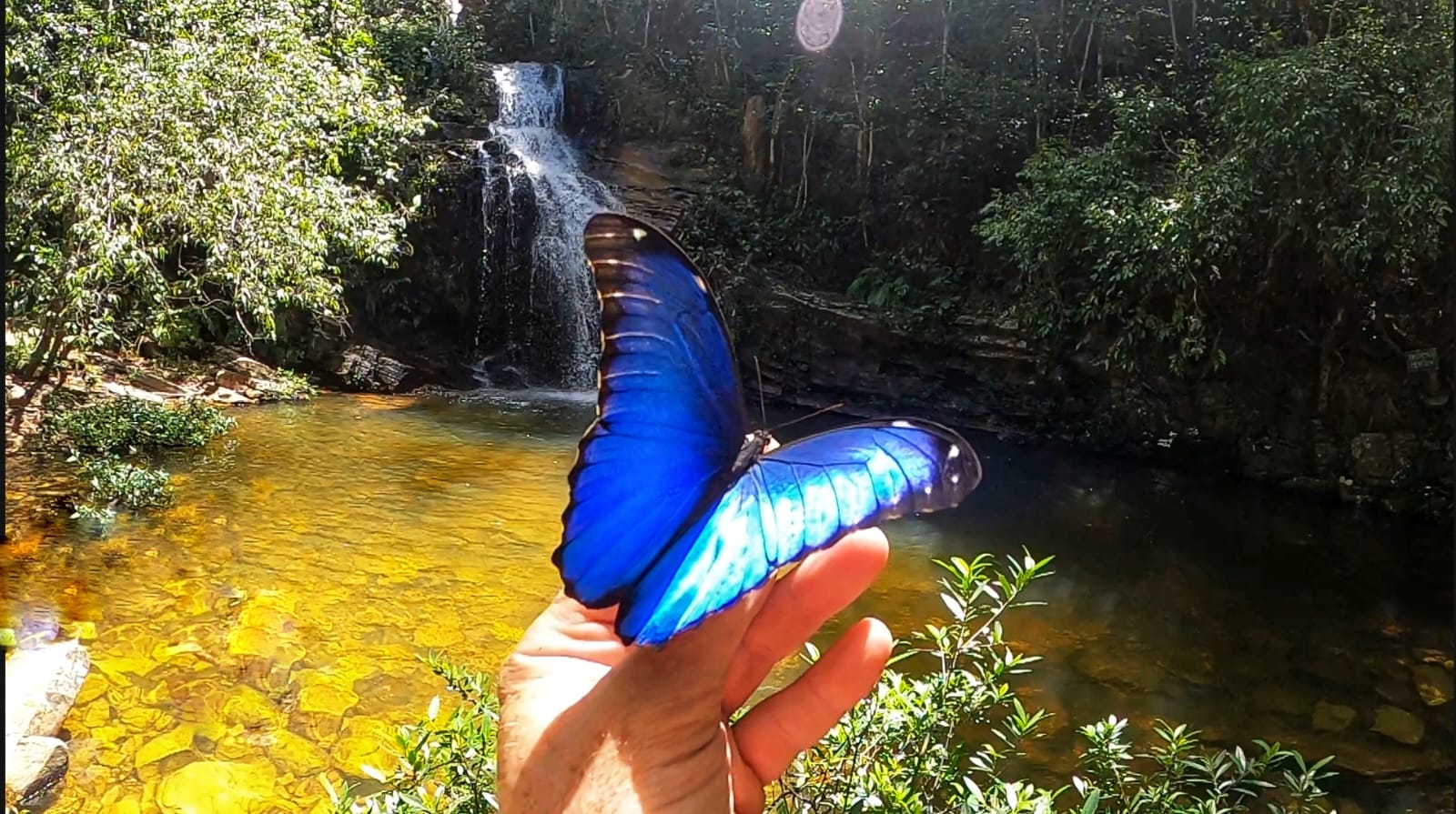 Cachoeiras e mata do Cerrado